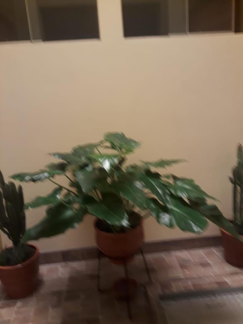 El Marquez Guest house Tacna